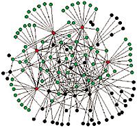 Scale-free Network