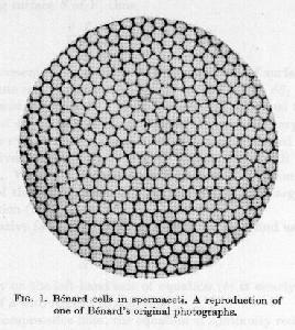 Bnard Convection Cells