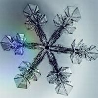 Snow Crystal