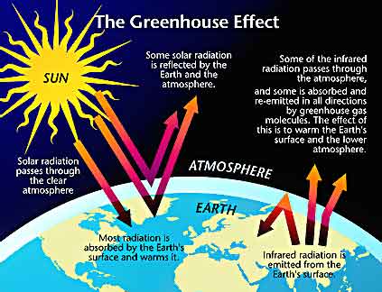 The Greenhouse Effect and Global Warming