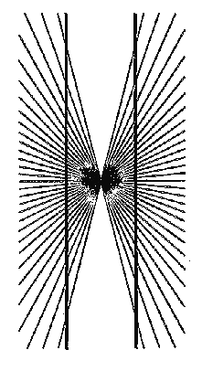 The Hering Illusion