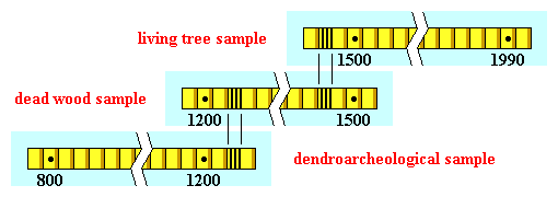 Schematic Representation of the Cross-Dating Method