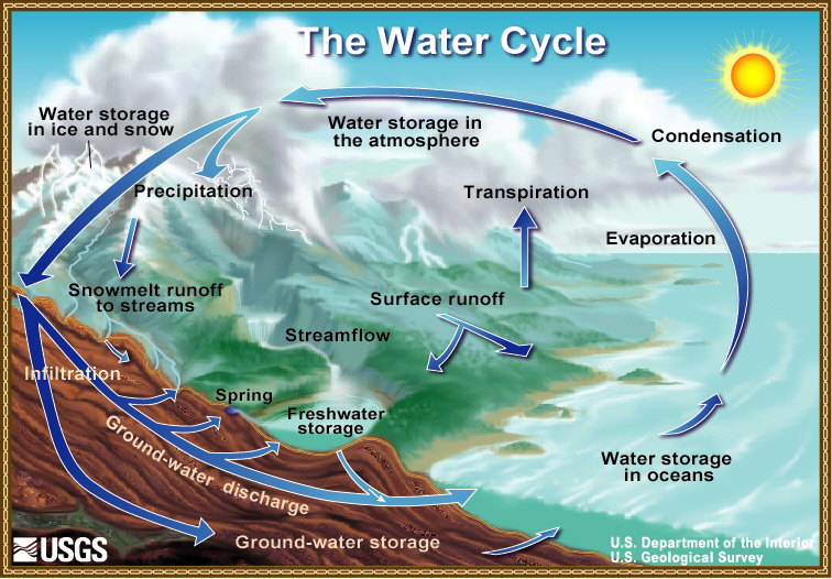 The Water Cycle