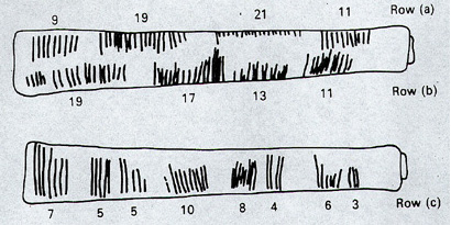 The Notches on the Ishango Bone